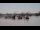 Webcam in Bordeaux, 0.5 km entfernt