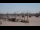 Webcam in Bordeaux, 0 km