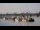Webcam in Bordeaux, 0 mi away