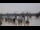 Webcam in Bordeaux, 0 mi away
