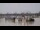 Webcam in Bordeaux, 0.2 mi away