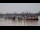 Webcam in Bordeaux, 0 km