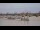 Webcam in Bordeaux, 0 mi away