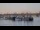 Webcam in Bordeaux, 63.5 km