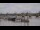 Webcam in Bordeaux, 0 mi away