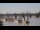 Webcam in Bordeaux, 0.5 km