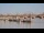 Webcam in Bordeaux, 63.5 km entfernt