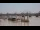 Webcam in Bordeaux, 1.4 mi away