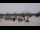 Webcam in Bordeaux, 63.5 km entfernt