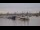 Webcam in Bordeaux, 0 mi away