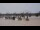 Webcam in Bordeaux, 63.5 km entfernt