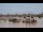 Webcam in Bordeaux, 0 mi away