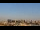 Webcam in Harrison, Nueva Jersey, 13.9 km