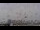 Webcam in Harrison, New Jersey, 11.4 km entfernt