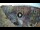 Webcam in Cefalù, 0.6 mi away