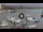 Webcam in Castiglioncello, 36.4 km