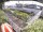 Webcam in Hamburg, 1.1 mi away