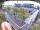 Webcam in Hamburg, 1.2 mi away