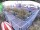 Webcam in Hamburg, 0.6 km entfernt