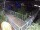 Webcam in Hamburg, 3.1 km entfernt