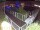 Webcam in Hamburg, 1.2 mi away