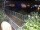 Webcam in Hamburg, 2.2 km entfernt