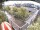 Webcam in Hamburg, 1.2 mi away