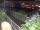 Webcam in Hamburg, 1 mi away