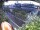 Webcam in Hamburg, 1.2 mi away