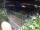 Webcam in Hamburg, 0.9 mi away