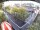 Webcam in Hamburg, 0.8 mi away