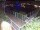 Webcam in Hamburg, 1.2 mi away