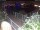 Webcam in Hamburg, 1 mi away