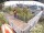 Webcam in Hamburg, 1.2 mi away
