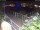 Webcam in Hamburg, 0.6 mi away