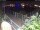 Webcam in Hamburg, 1.2 mi away
