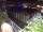 Webcam in Hamburg, 0.6 mi away