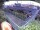 Webcam in Amburgo, 3 km