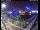 Webcam in Hamburg, 1.6 km entfernt