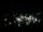 Webcam in Spotsylvania, Virginia, 44.6 mi away