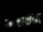 Webcam in Spotsylvania, Virginia, 82.3 km