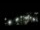 Webcam in Spotsylvania, Virginie, 82.3 km