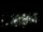 Webcam in Spotsylvania, Virginia, 104.6 km