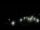 Webcam in Spotsylvania, Virginia, 31.6 km