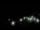 Webcam in Spotsylvania, Virginie, 31.6 km