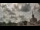 Webcam in Lexington, Kentucky, 131.2 mi away