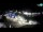 Webcam in Pag, 0.1 km entfernt