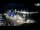 Webcam in Pag, 8 km