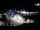 Webcam in Pag, 0.1 km