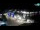 Webcam in Pag, 3.1 mi away